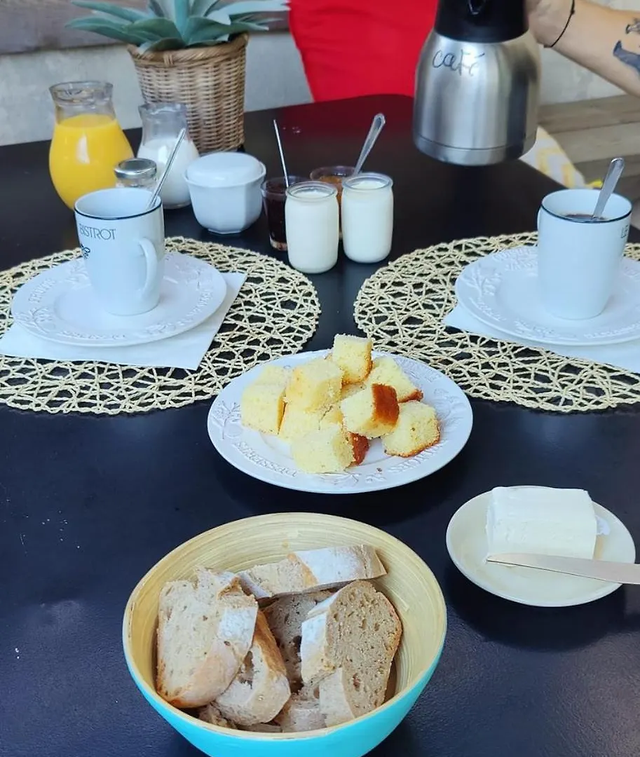 Les Citronniers Et Les Mimosas Apartment Hyeres France